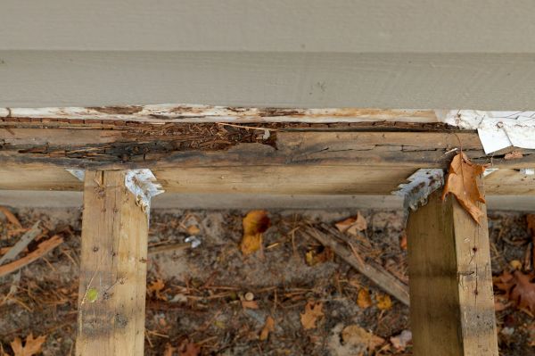Cookeville Wood Rot Repair