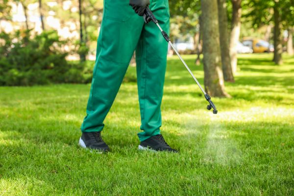 Cookeville Lawn Treatment