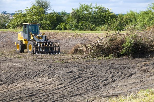 Cookeville Land Clearing